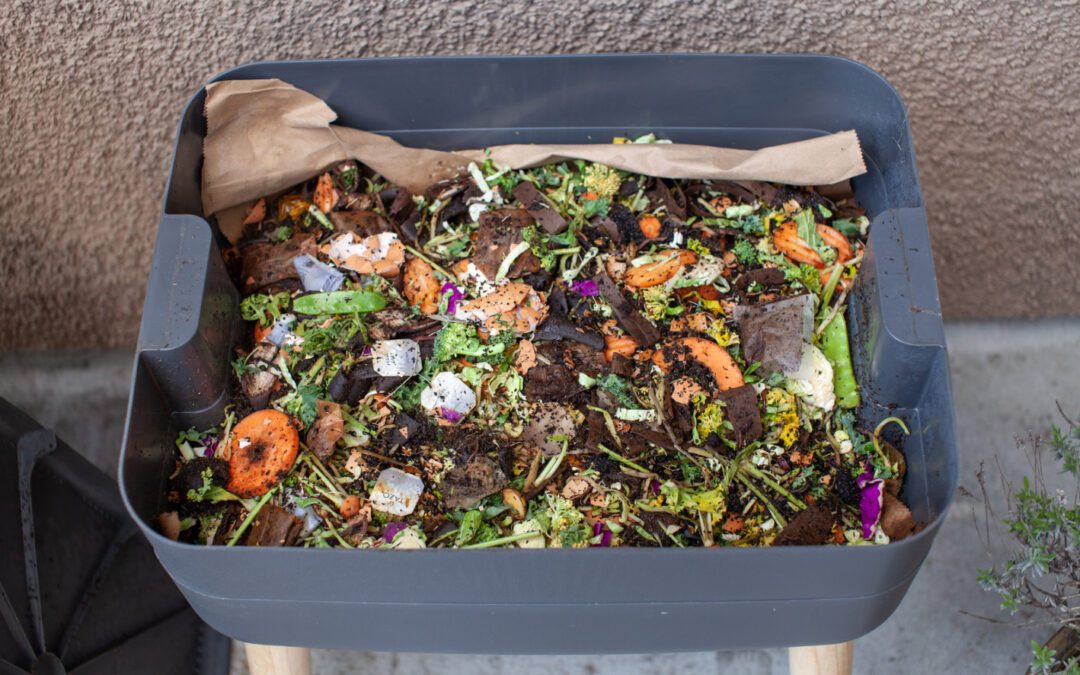Vermicompost is the decomposition process using various species of worms, usually red wigglers, or white worms.